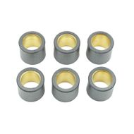 Athena 6 Variator Rollers Kit 19x17 gr.11,5