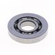Bearing 3TM-SC05B31CS37 - NTN