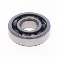 Bearing 3TM-SX04B10X1CS38 - NTN