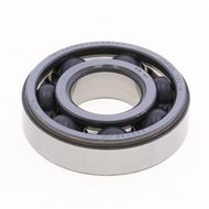 Bearing TM-SX06D11CS31V1 - NTN