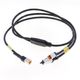 Cablaggio accessorio Multi Link per Centraline RX1