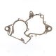Carter Engine Gasket
