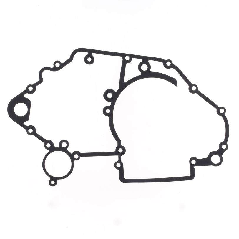 Carter Engine Gasket