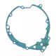 Carter Engine Gasket