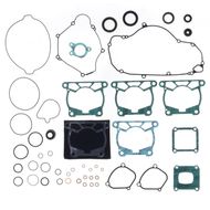 Complete Gasket Kit (oil seals included)