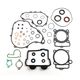 Complete Gasket Kit (oil seals included)
