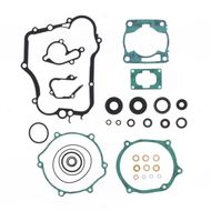 Complete Gasket Kit (oil seals included)
