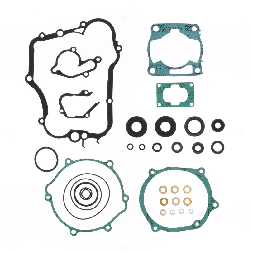 Complete Gasket Kit (oil seals included)