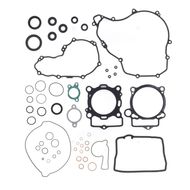 Complete Gasket Kit (oil seals included)
