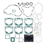 Complete Gasket Kit (oil seals included)