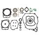 Complete Gasket Kit (oil seals included)