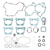 Complete Gasket Kit (oil seals included)