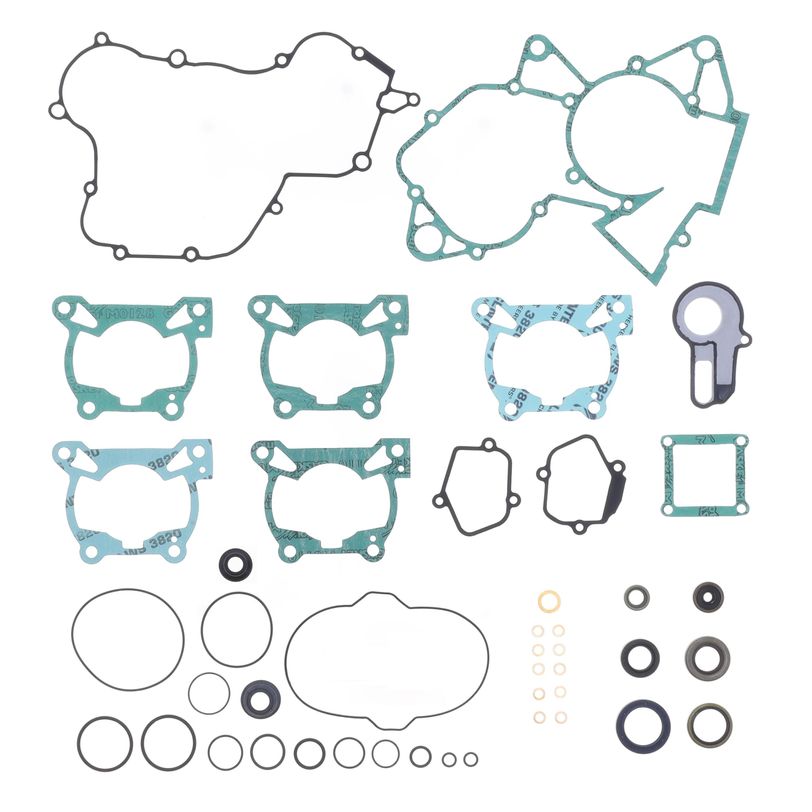 Complete Gasket Kit (oil seals included)