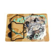 Complete Gasket Kit (oil seals included)
