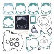 Complete Gasket Kit (oil seals included)