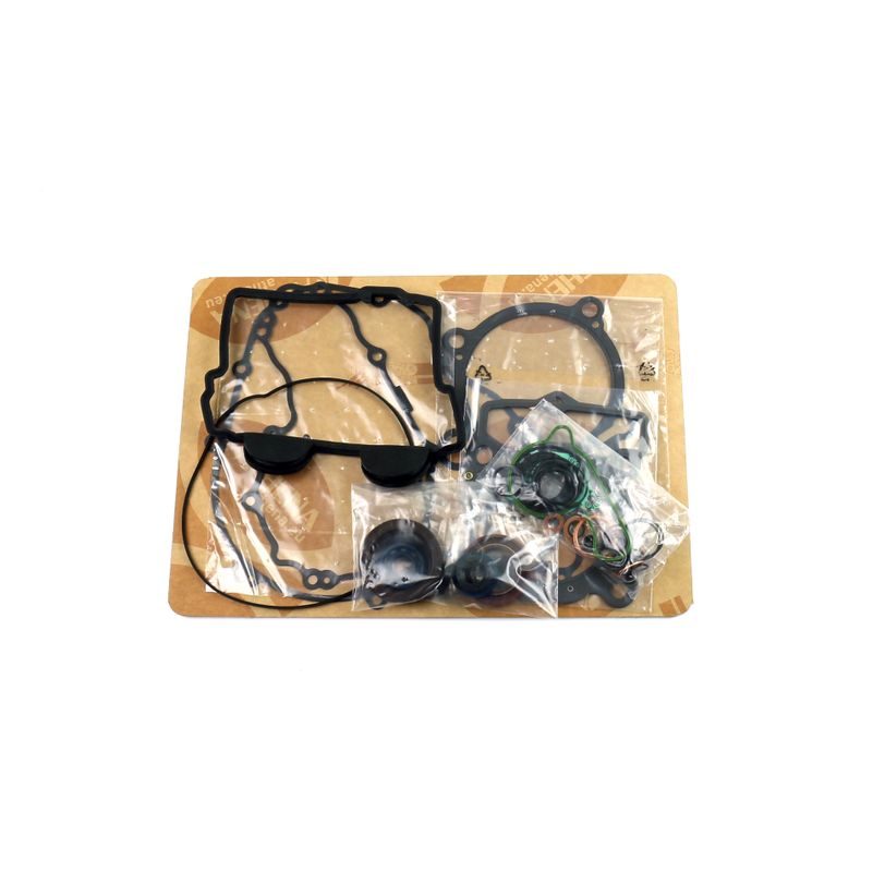 Complete Gasket Kit (oil seals included)