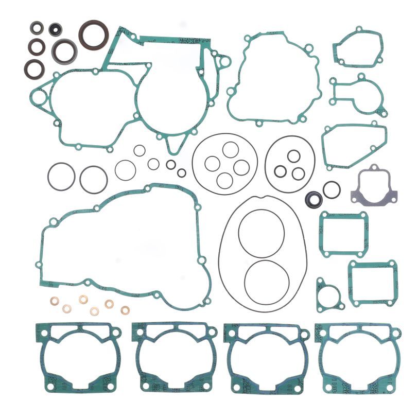 Complete Gasket Kit (oil seals included)