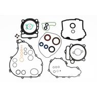 Complete Gasket Kit (oil seals included)