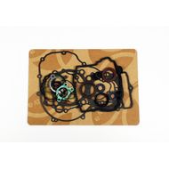 Complete Gasket Kit (oil seals included)
