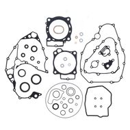 Complete Gasket Kit (oil seals included)