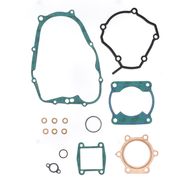Complete Gasket Kit (oil seals not included)