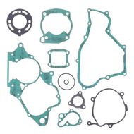Complete Gasket Kit (oil seals not included)