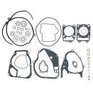Complete Gasket Kit (oil seals not included)