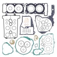 Complete Gasket Kit (oil seals not included)