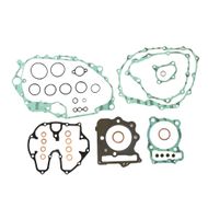 Complete Gasket Kit (oil seals not included)