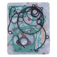 Complete Gasket Kit (oil seals not included)