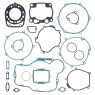 Complete Gasket Kit (oil seals not included)