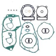 Complete Gasket Kit (oil seals not included)