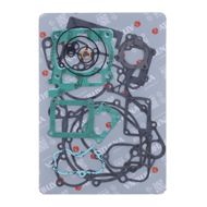 Complete Gasket Kit (oil seals not included)