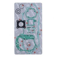 Complete Gasket Kit (oil seals not included)