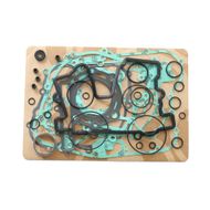 Complete Gasket Kit (oil seals not included)