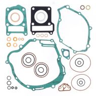 Complete Gasket Kit (oil seals not included)