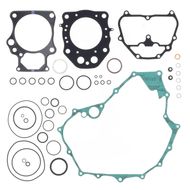 Complete Gasket Kit (oil seals not included)