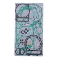 Complete Gasket Kit (oil seals not included)