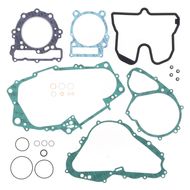 Complete Gasket Kit (oil seals not included)
