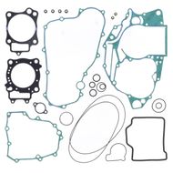 Complete Gasket Kit (oil seals not included)