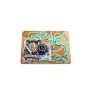 Complete Gasket Kit (oil seals not included)