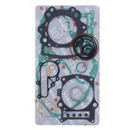 Complete Gasket Kit (oil seals not included)