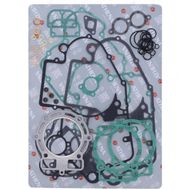 Complete Gasket Kit (oil seals not included)