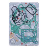 Complete Gasket Kit (oil seals not included)