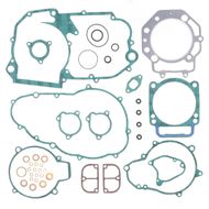 Complete Gasket Kit (oil seals not included)