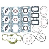 Complete Gasket Kit (oil seals not included)