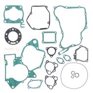 Complete Gasket Kit (oil seals not included)
