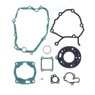 Complete Gasket Kit (oil seals not included)