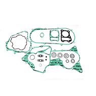 Complete Gasket Kit (oil seals not included)