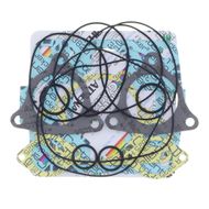 Complete Gasket Kit (oil seals not included)